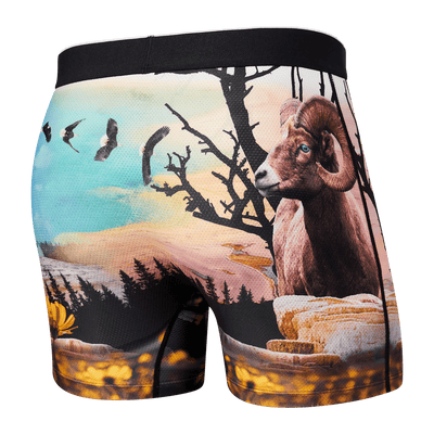 Saxx Volt Boxers - Yellowstone - TheHockeyShop.com