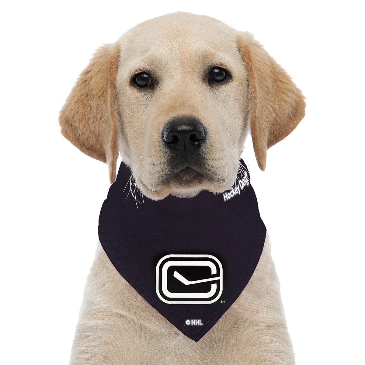 NHL Reflective Pet Bandanas - Vancouver Canucks - TheHockeyShop.com