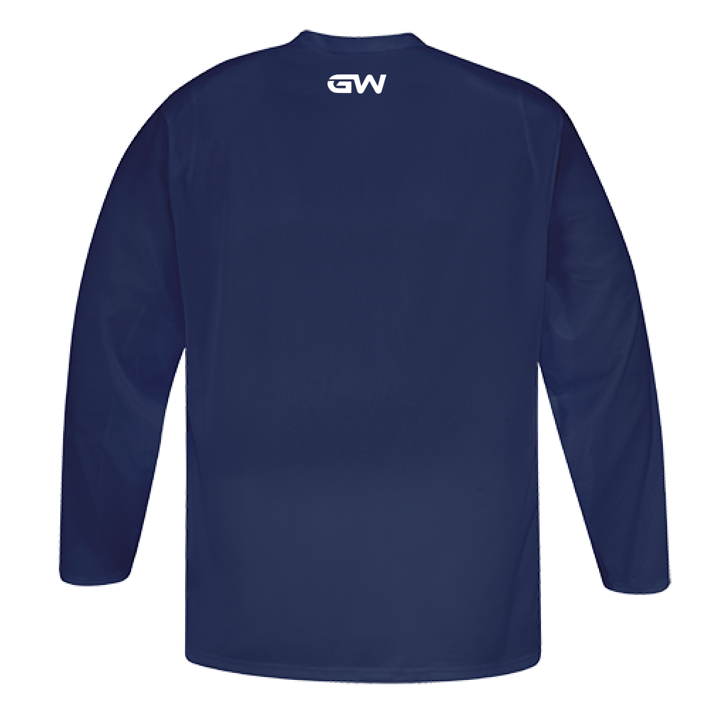 Gw5500 hotsell